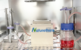 仿血流多細(xì)胞動態(tài)共培養(yǎng)系統(tǒng)